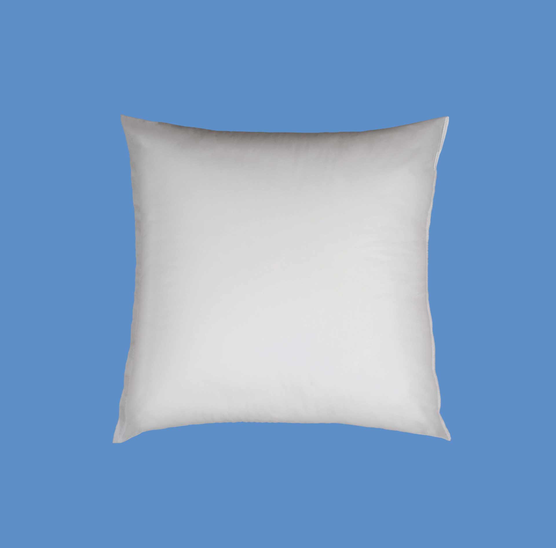 Interior Cushion